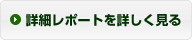 詳細レポートを詳しく見る