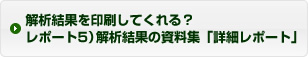 解析結果を印刷してくれる?レポート5)解析結果の資料集「詳細レポート」