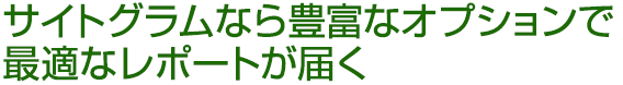 サイトグラムなら豊富なオプションで最適なレポートが届く