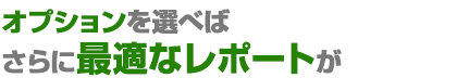 オプションを選べばさらに最適なレポートが