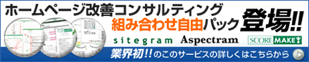 ホームページ改善コンサルティング組み合わせ自由パック登場！！