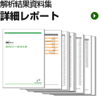 解析結果資料集 詳細レポート