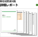 解析結果資料集 詳細レポート